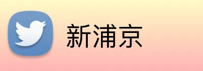 新浦京 Logo